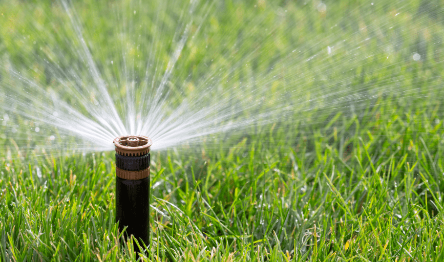 JPM Landscape & Irrigation Services