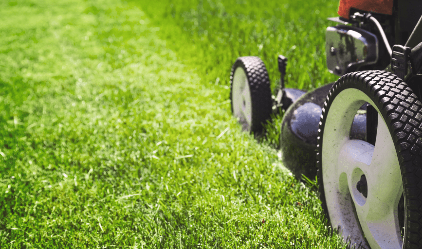 JPM Landscape & Irrigation Services